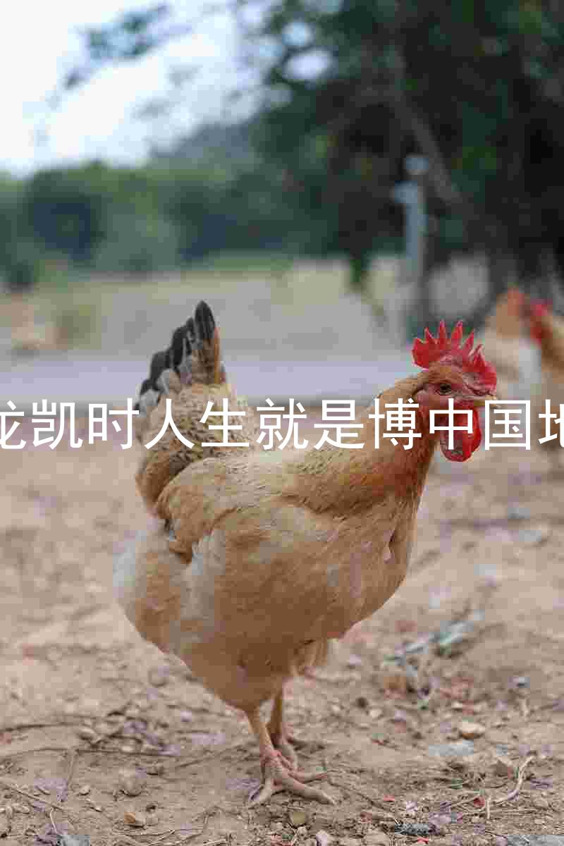 尊龙凯时人生就是博中国地区
