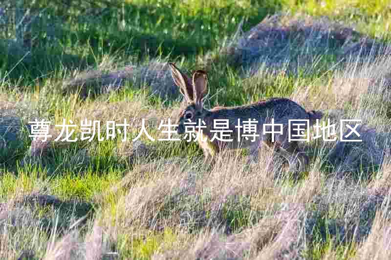尊龙凯时人生就是博中国地区
