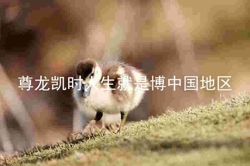 尊龙凯时人生就是博中国地区