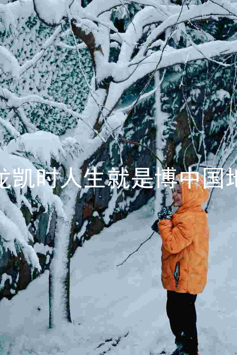 尊龙凯时人生就是博中国地区