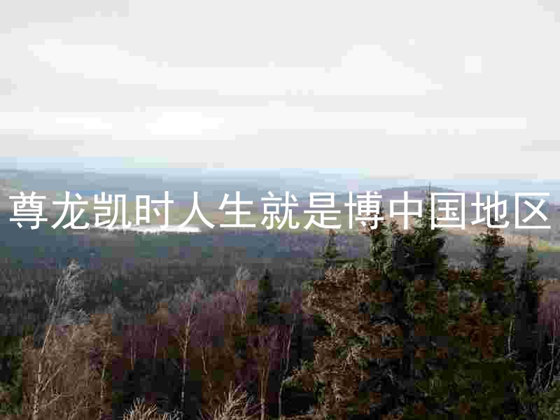 尊龙凯时人生就是博中国地区