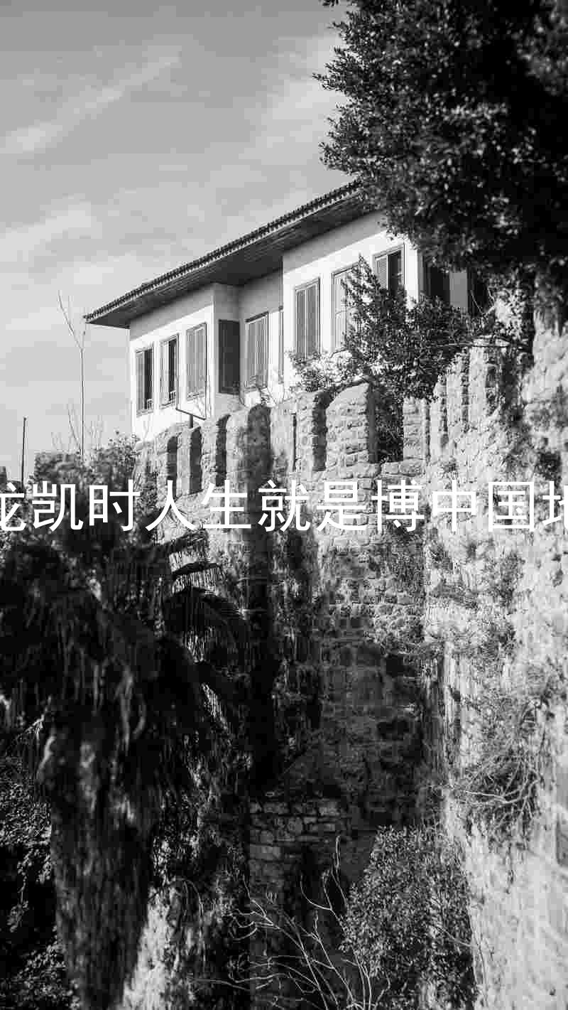 尊龙凯时人生就是博中国地区