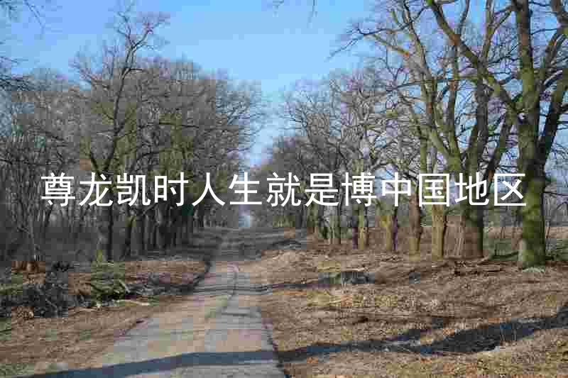 尊龙凯时人生就是博中国地区