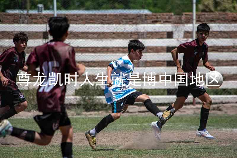 尊龙凯时人生就是博中国地区