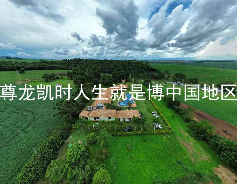 尊龙凯时人生就是博中国地区